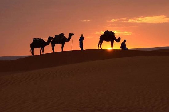 camel-trekking-in-merzouga