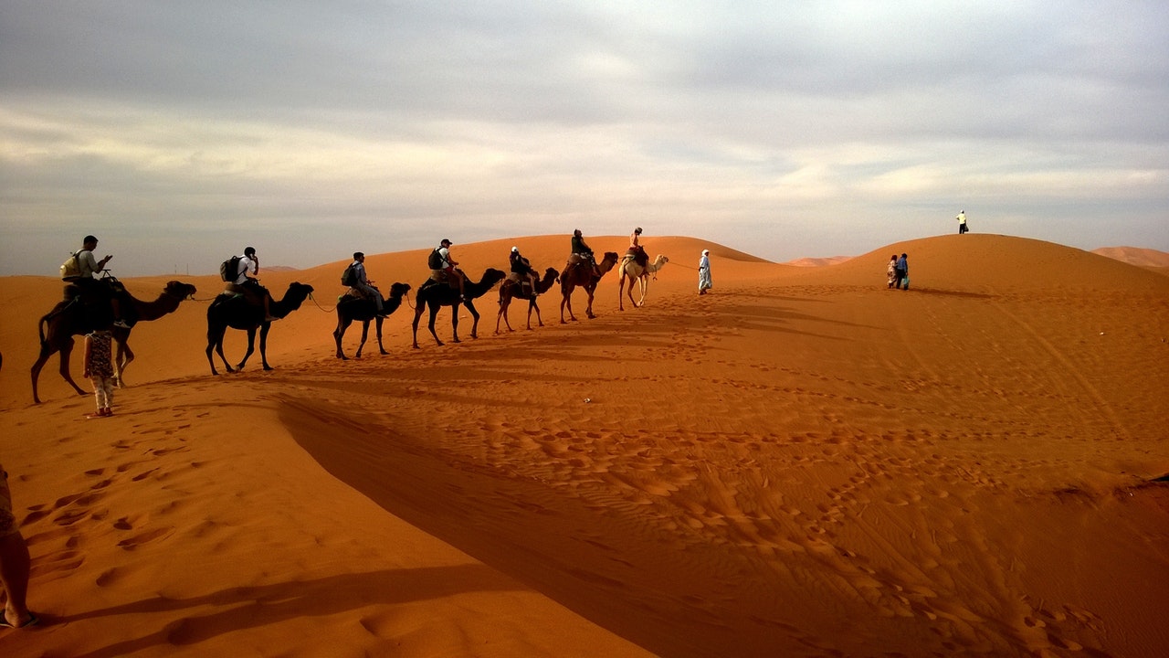 caravan-desert-safari-dune-53537 (1)